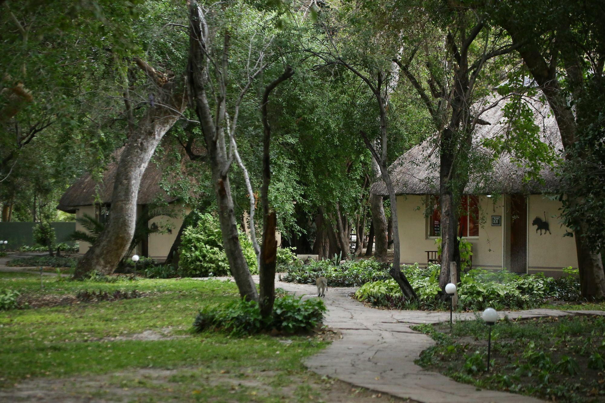 Island Safari Lodge Маун Экстерьер фото